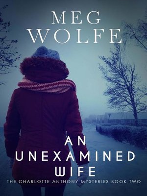 cover image of An Unexamined Wife